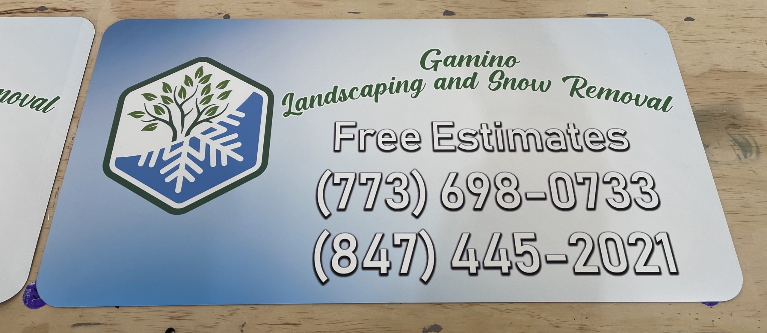 Landscaping & Snow Removal Services in Chicago